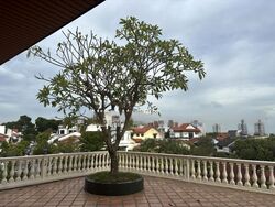 Bedok South Road (D16), Detached #479967641